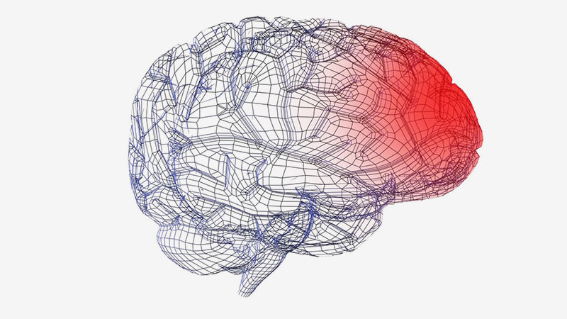 blog the injured brain blog the injured brain